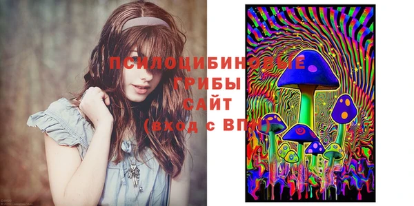 спиды Карпинск