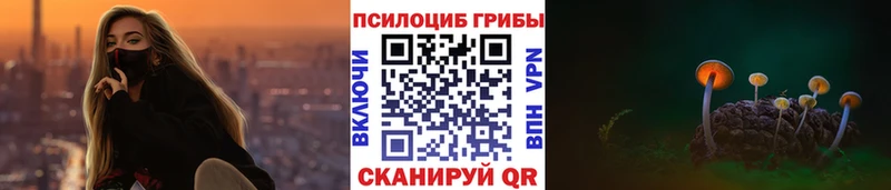 Псилоцибиновые грибы Psilocybine cubensis  Купить где  Миллерово 